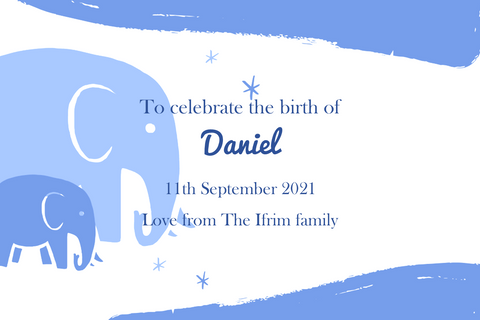 Blue Elephants New Baby
