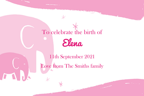 Pink Elephants New Baby