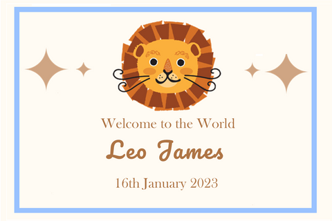Lion Welcome to the World New Baby