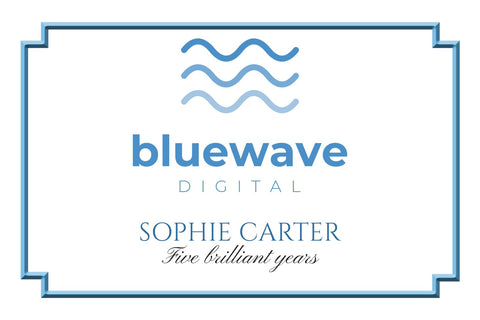 Company Logo Light Blue Frame