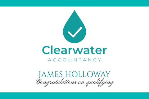 Company Logo Teal Bars